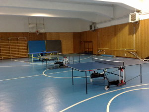 la palestra della sede centrale