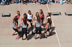 step (3)