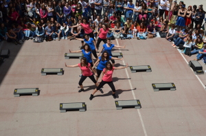 step (4)