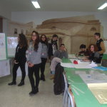 DSCN7187